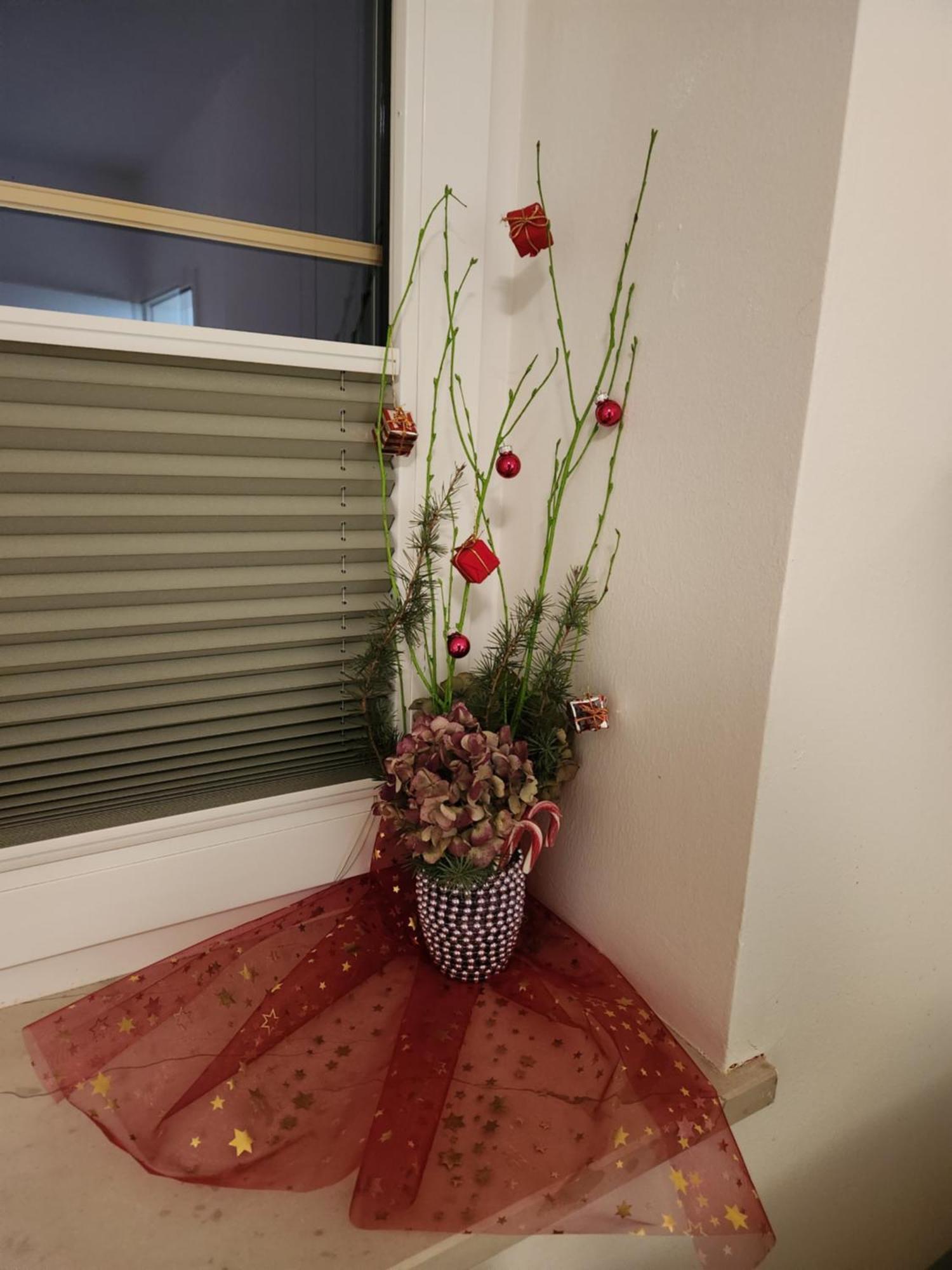 Vila Rajska Ptica Bled Zimmer foto